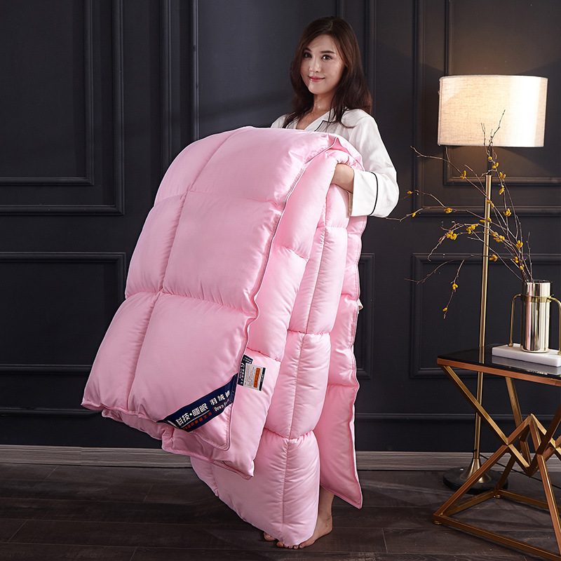 White Goose Down Duvet Winter  - Duvet Insert White review and price