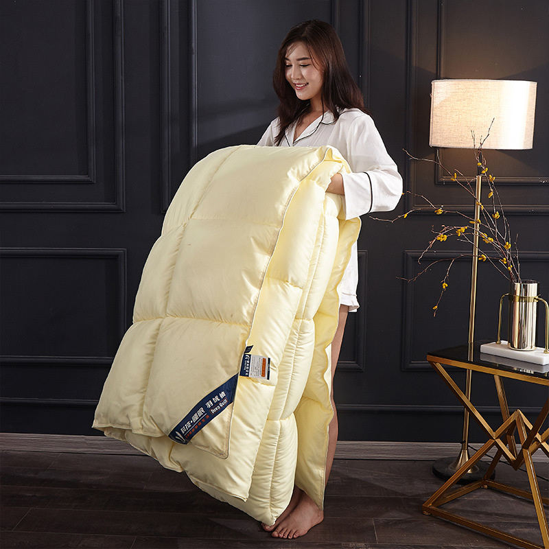 White Goose Down Duvet Winter  - Duvet Insert White review and price