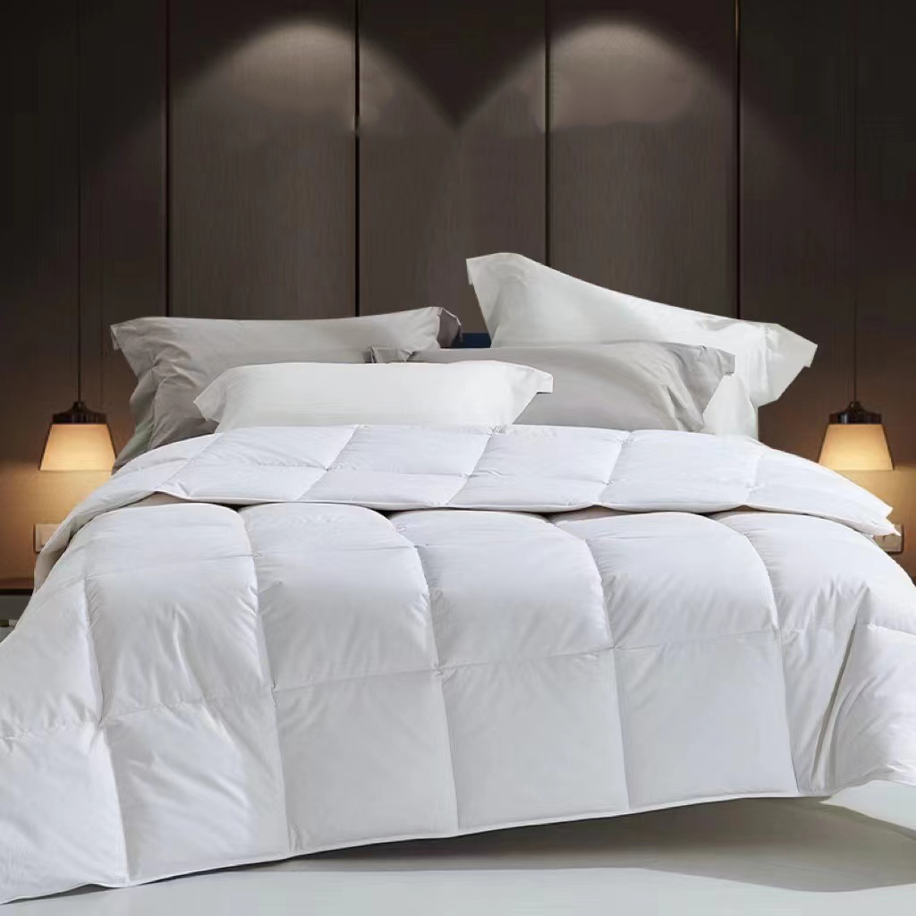 Lightweight Down Comforter Whi - Duvet Insert White review and price