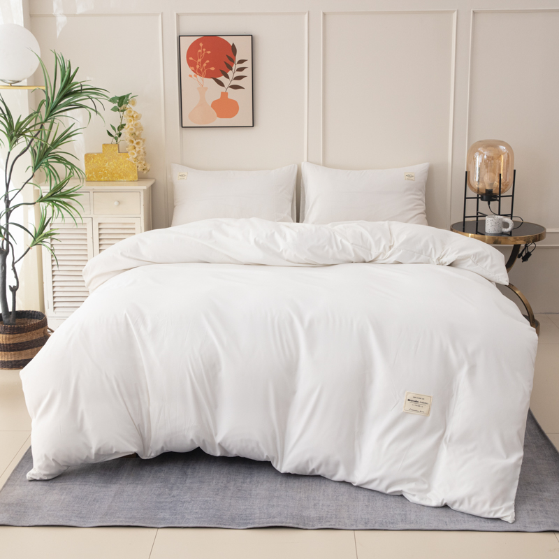 Thickened 110g Polyester Ultra - Duvet Insert White review and price